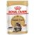 Royal Canin FBN Maine Coon - Cat wet food - sachet 12x 85g