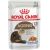 ROYAL CANIN FHN Ageing 12+ in jelly - wet food for senior cats - 12x85g