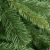 Zaļa egle Vera Springos CT0129 120cm
