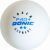 Table tennis ball DONIC P40+  Coach 2 star 120 pcs White