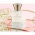 GLANTIER 500 PERFUME PREMIUM 22% 50 ML - Smaržas sievietēm