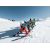 Elan Skis Element W LS EL 9.0 GW / Zila / 160 cm