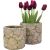 Planter CHIARA D16,7xH14,7cm