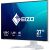EIZO EV2740X-WT, LED monitor - 27 - white, UltraHD/4K, LAN, USB-C