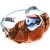 Nerka Deuter Pulse 3 chestnut-teal