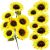 Mākslīgie dekoratīvie ziedi Springos HA7436