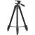 D-Fruit tripod 204