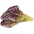 Click & Grow Smart Garden refill Red Lettuce 3pcs