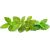 Click & Grow Plant Pod Calming Tea Mix 9pcs