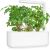 Click & Grow Smart Garden refill Lovage 3pcs