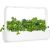 Click & Grow Smart Refill Зеленая капуста кале 3 шт.