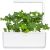 Click & Grow Smart Refill Green Kale 3pcs