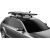 Thule SUP Taxi XT