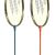 Wish Alumtec 550K badminton racket set
