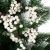 Mākslīgais dekoratīvais pīlādžu koks, matēts zariņš Springos CA0742 20gab  ,balts