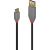 CABLE USB2 C-A 1M/ANTHRA 36886 LINDY