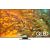 Samsung QE55Q80DATXXH 4K QLED MI televizors