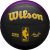 Wilson Wilson NBA Team City Collector Los Angeles Lakers WZ4024114XB basketball (7)