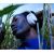 Наушники Bose QuietComfort Ultra Headset Wired & Wireless