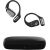 HiFuture FutureMate 2 Pro Wireless Earphones (black)