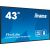 iiyama ProLite LH4375UHS-B1AG, Public Display (black (matt), UltraHD/4K, IPS, speakers, SDM slot)