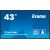 iiyama ProLite LH4375UHS-B1AG, Public Display (black (matt), UltraHD/4K, IPS, speakers, SDM slot)