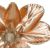 Springos magnolijas zieds 25 x 38 cm  CA1233