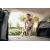Karcher Kärcher WD 4 P V-20/5/22 Black, Yellow 20 L 1000 W
