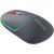 CANYON mouse MW-22 2in1 BT/ Wireless Dark Grey