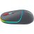CANYON mouse MW-22 2in1 BT/ Wireless Dark Grey