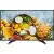 Monitor Hikvision DS-D5043QE