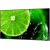 Monitor NEC MultiSync E558 (60005054)