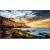 Monitor Samsung QE50T (LH50QETELGCXEN)