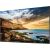 Monitor Samsung QE75T (LH75QETELGCXEN)