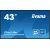 Monitor iiyama Monitor ProLite LH4341UHS-B2 42.5 cala 24/7,500cd,4K,IPS,3xHDMI