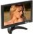 Monitor VM-1003M