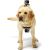 GoPro Fetch (kameras stiprinājums sunim)