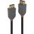 CABLE DISPLAY PORT 0.5M/ANTHRA 36480 LINDY
