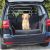 TRIXIE Trunk liner  - 1.64 x 1.25 m