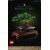 LEGO Creator Expert Bonsai Baum Bonsai kociņš 10281 3gb