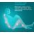 Homedics SP-50H Shiatsu Pillow + Heat