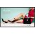 Monitor Philips H-Line 55BDL4002H/00