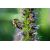 Tamron 90mm f/2.8 Di III Macro VXD lens for Sony