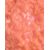 Gabriela Sabatini Lip Plumper 9ml W / Lip Gloss