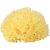BabÙ® Bab?® sponge natural nr.12