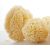 BabÙ® Bab?® sponge natural nr.12
