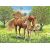 Ravensburger Puzzle 100 pc Horses