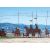 Ravensburger Puzzle 1000 pc Camino de Santiago