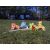 Tactic Wooden Animal Croquet