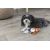 Trixie Trixie Deer, plush, 12 cm